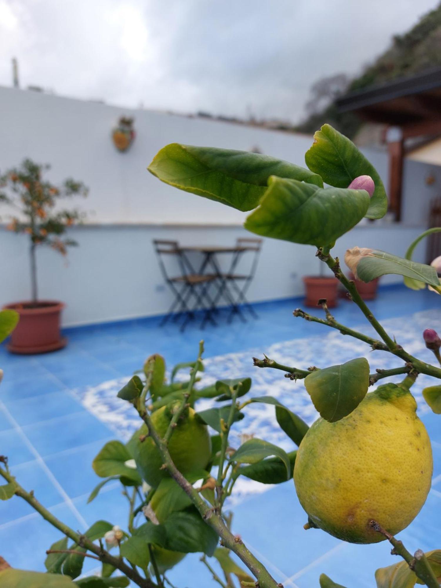 B&B La Filanda Scilla Ngoại thất bức ảnh